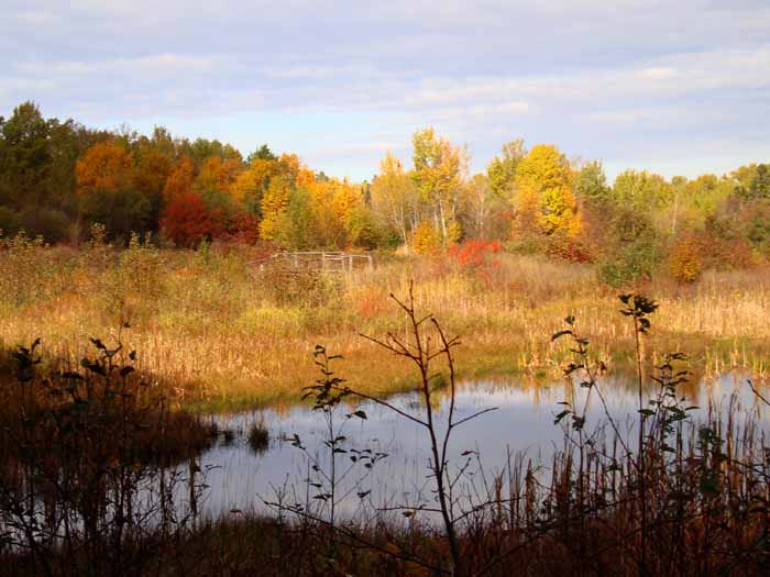 Fall colors hang on Copper Harbor Copper Harbor