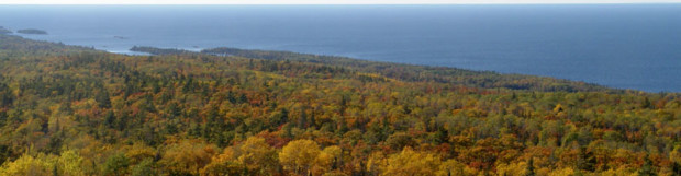 Fall Color Progression