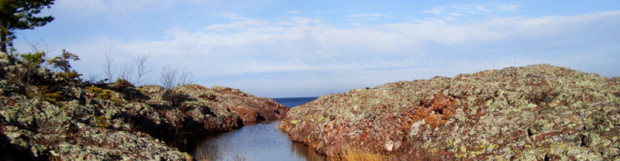 Hunter’s Point Park