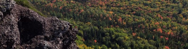Fall Color Progression Update 9/29